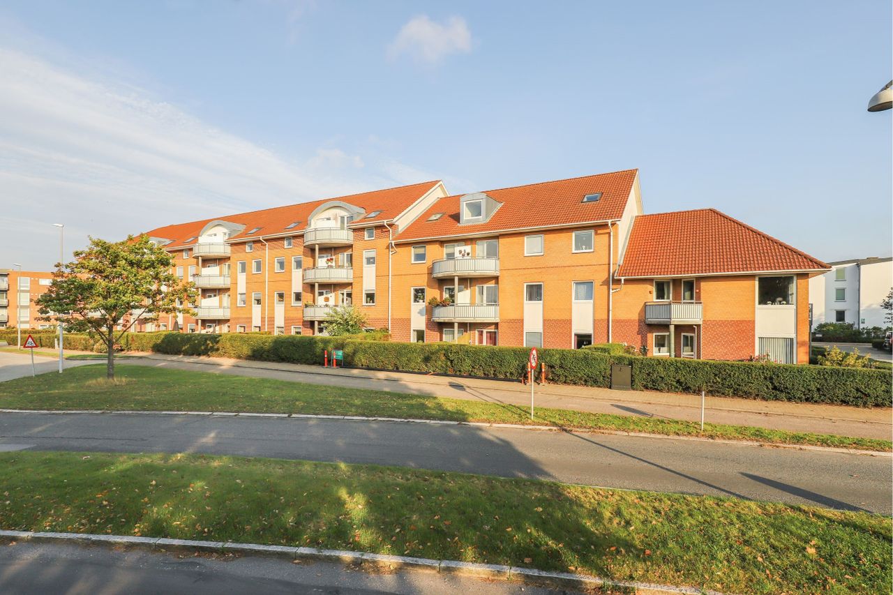 image 01
